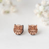 Big Eye Owl Earrings -EB12005 - Robin Valley Official Store