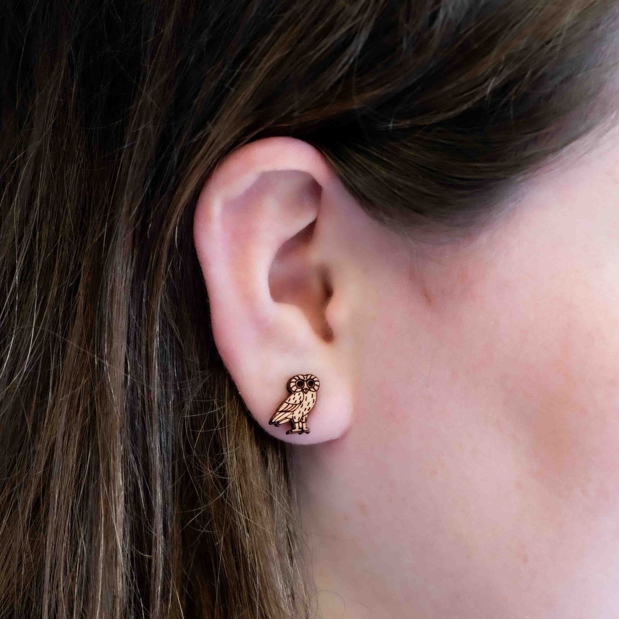 Classic Owl Bird Earrings - EB12055 - Robin Valley Official Store