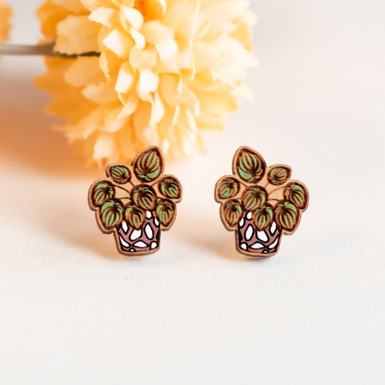 Hand - painted Wooden Watermelon Peperomia Plant Earrings - PEO14174 - Robin Valley Official Store