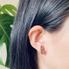Cross Spider Cherry Wood Stud Earrings - EO14051 - Robin Valley Official Store